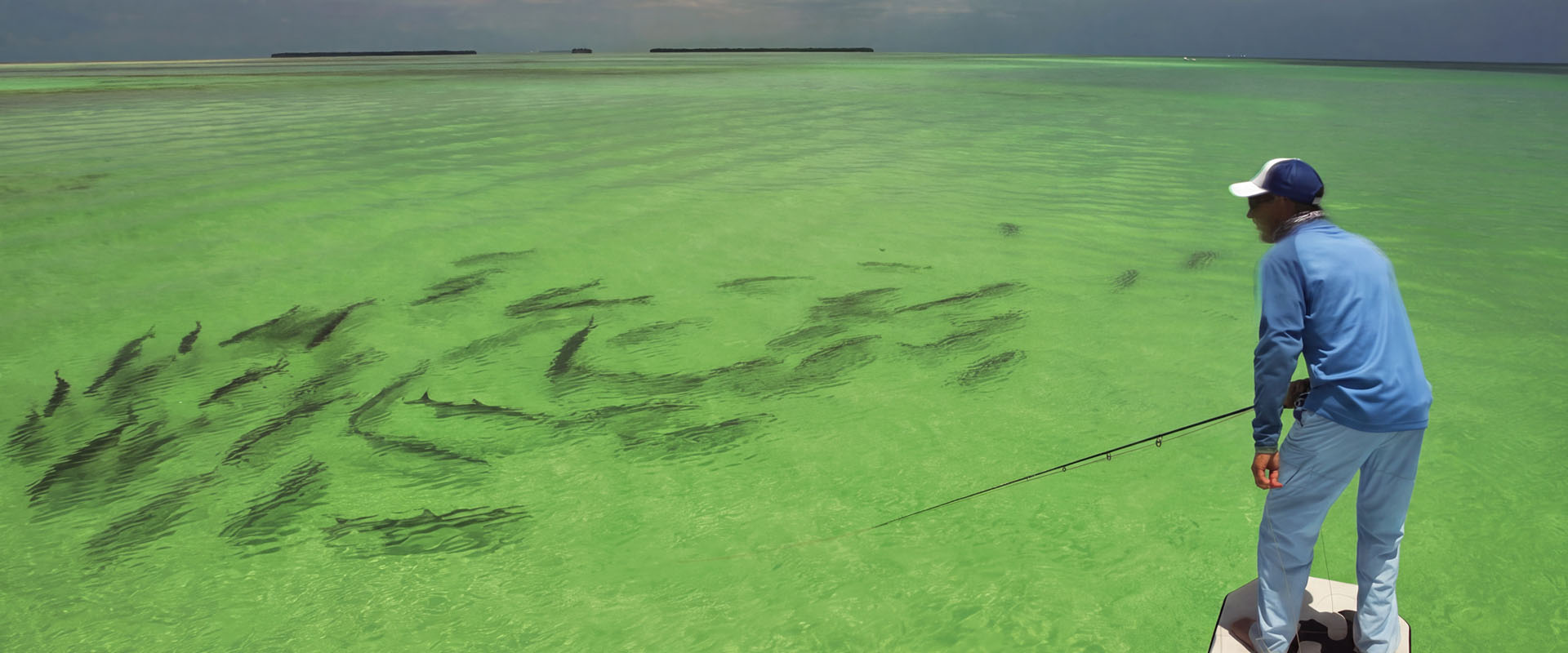 Tarpon Challenge