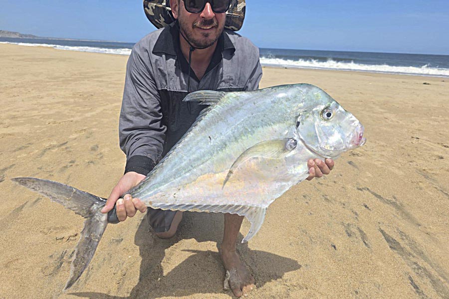 African Beaches Pompano