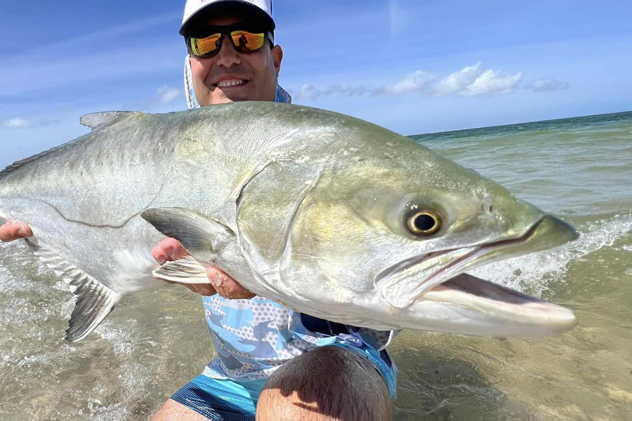 WILDFINS – fish on the wild side