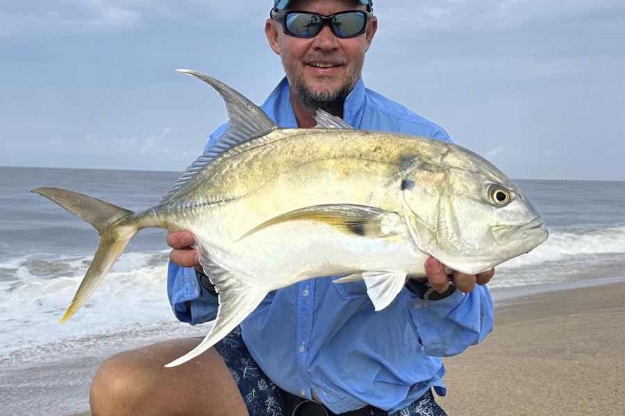 African Beaches Longfin Crevalle Jack