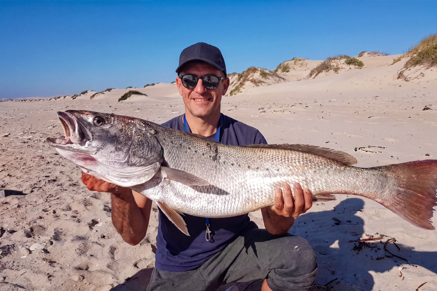 African Beaches Corvina