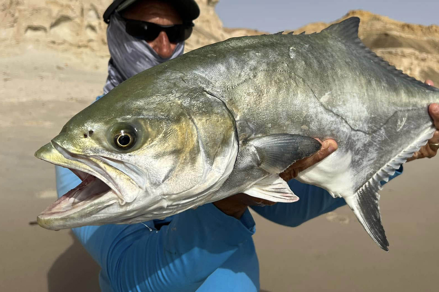 African Beaches Crevalle Jack