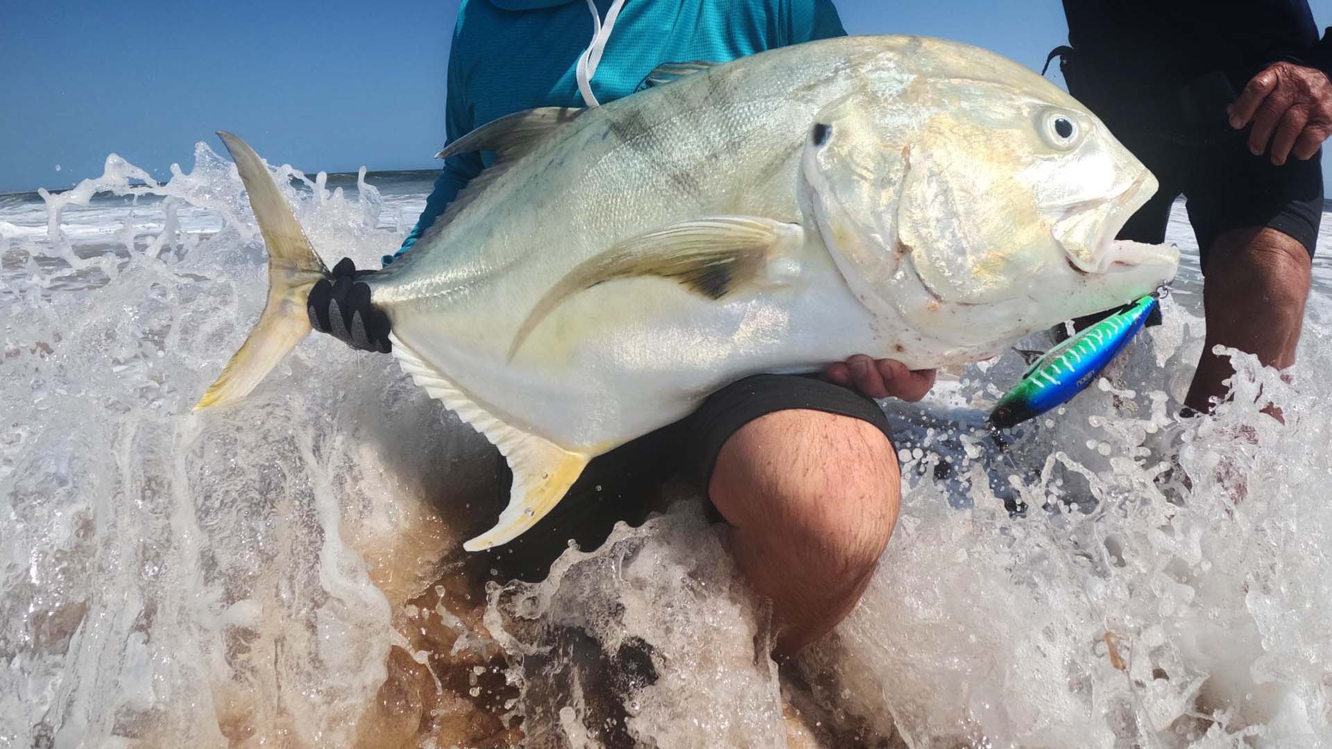 Fliegenfischen und Spinnfischen auf Crevalle Jacks