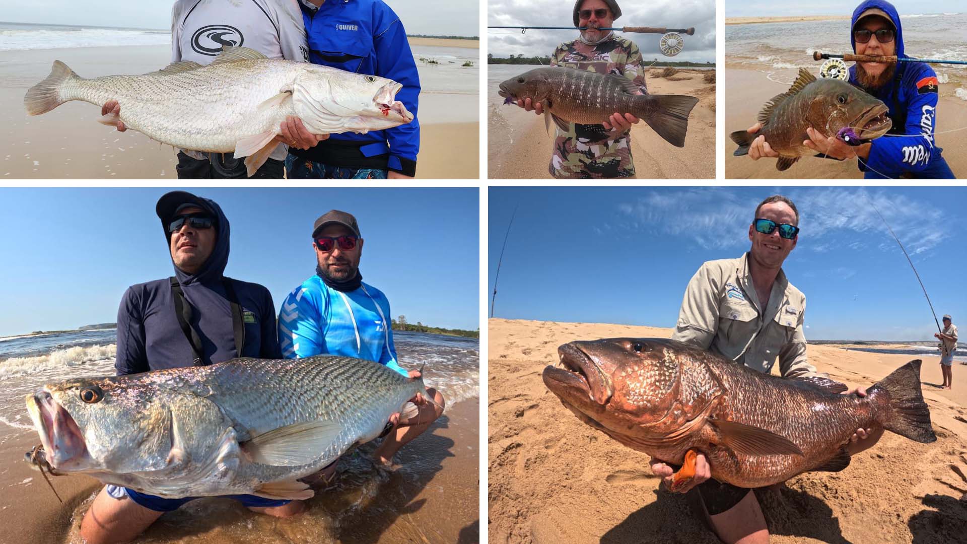 Mit der Fliege und Spinnrute im Salzwasser in Westafrika