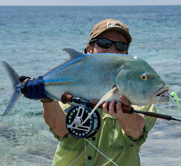 Bluefin Trevally auf Streamer