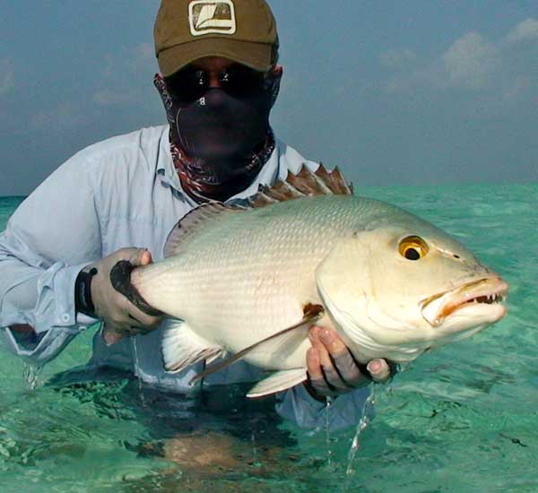 Fliegenfischen auf Snapper