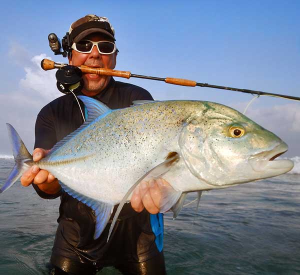 Fliegenfischen auf Bluefin Trevally