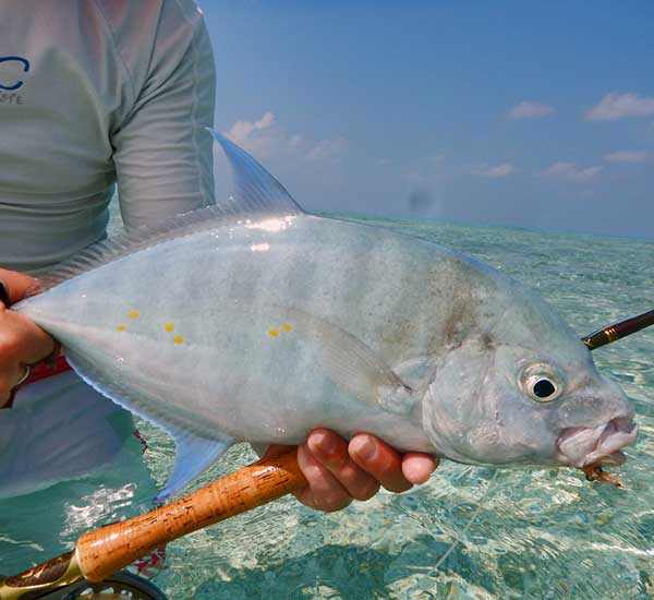 Fliegenfischen im Salzwasser