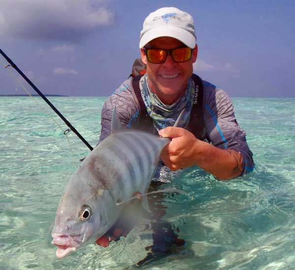 Banded Trevally auf Fliege