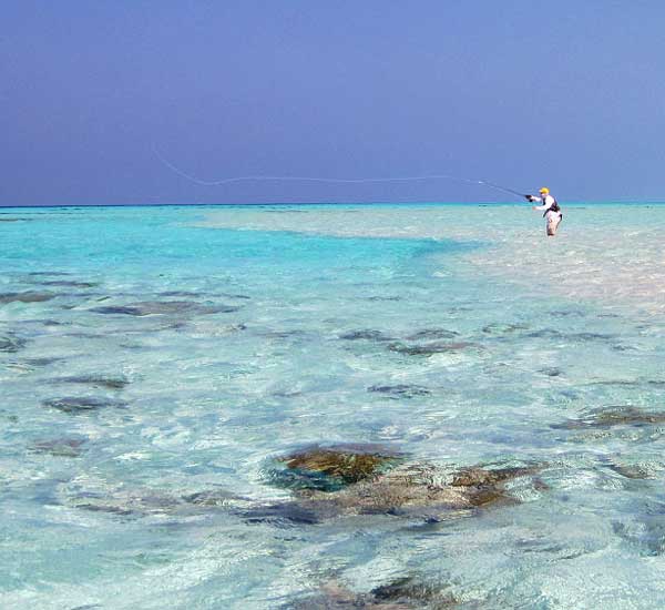 Fliegenfischen im Salzwasser