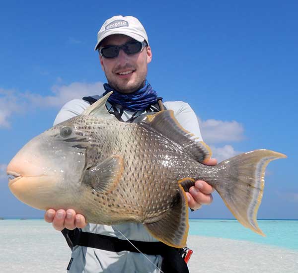 Fliegenfischen auf Drückerfische