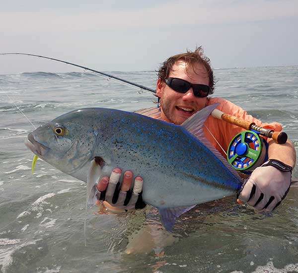 Bluefin Trevally auf Fliege