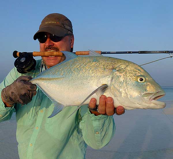 großer Bluefin Trevally auf Fliege