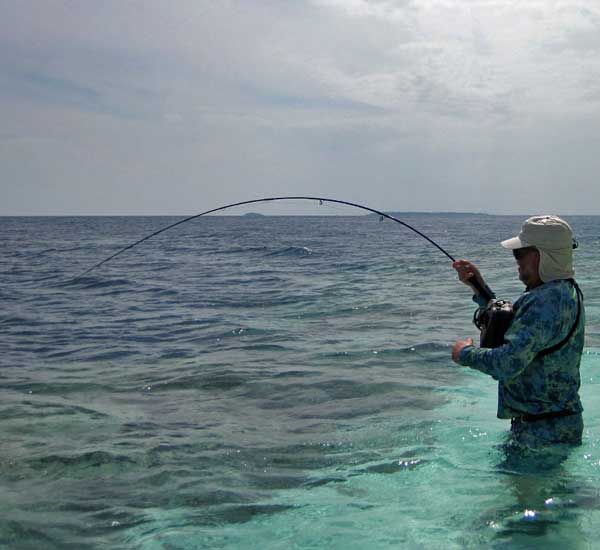 Fliegenfischen auf Thunfisch