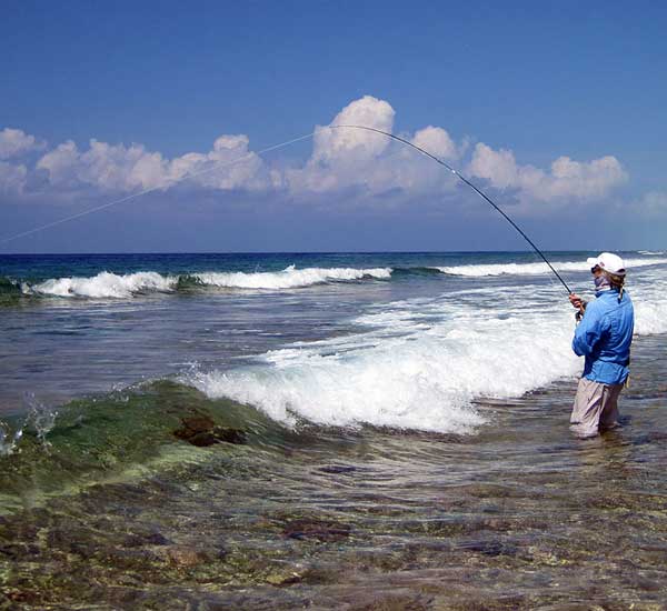 Fliegenfischen im Surf