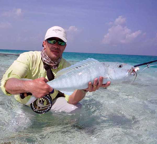 Fliegenfischen auf Jobfish