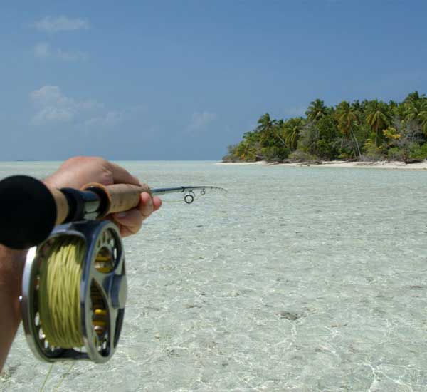 Fliegenfischen auf Sicht