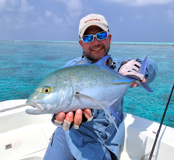 Wunderschöner Bluefin Trevally
