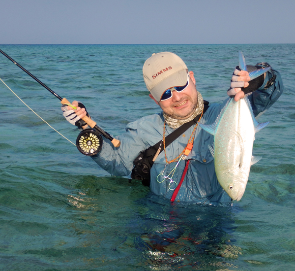 Bluefin Trevally auf Fliege
