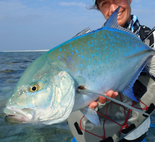 Fliegenfischen auf Trevally
