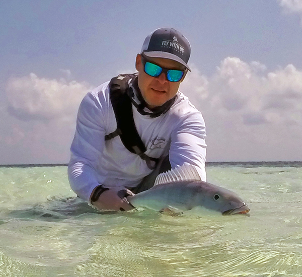 Green Jobfish auf Fliege