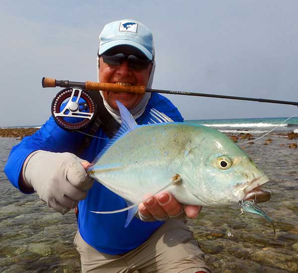 Bluefin Trevally auf Fliege