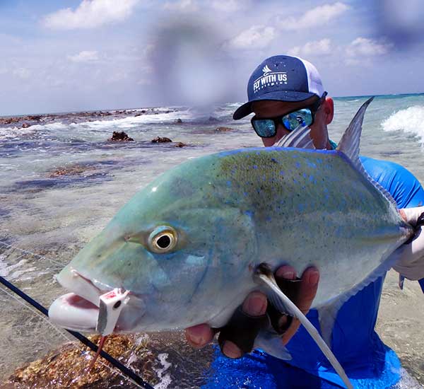 Bluefin Trevally auf Fliege