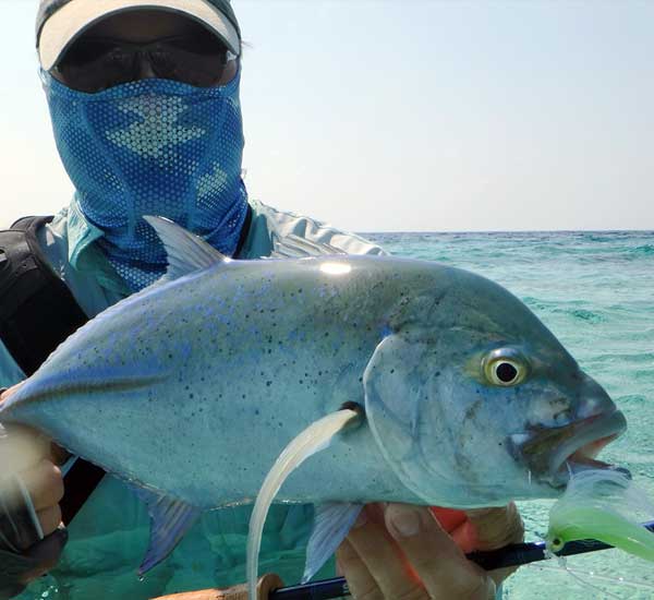 Fliegenfischen auf Bluefin Trevally