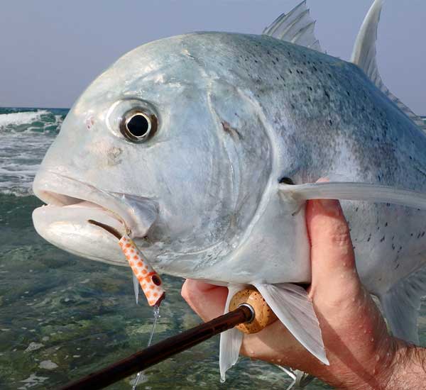 Fliegenfischen auf GT