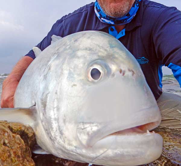 Fliegenfischen auf Giant Trevally