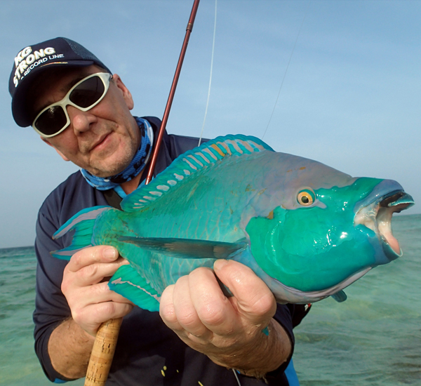 Fliegenfischen auf Parrotfish