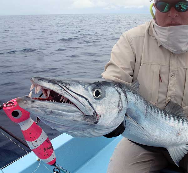 Spinnfischen mit Popper und Stickbait auf Giant Trevally, Thunfische, Snapper, Grouper und mehr.