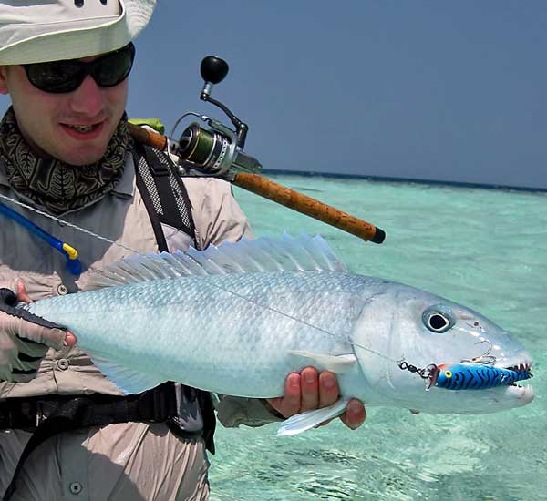Spinnfischen mit Popper und Stickbait auf Giant Trevally, Thunfische, Snapper, Grouper und mehr.