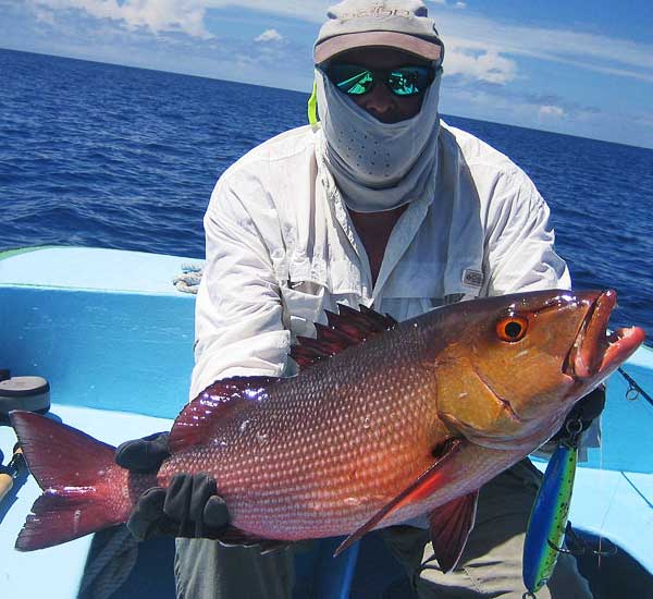 Spinnfischen mit Popper und Stickbait auf Giant Trevally, Thunfische, Snapper, Grouper und mehr.