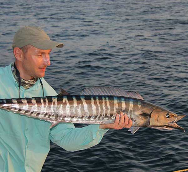 Spinnfischen mit Popper und Stickbait auf Giant Trevally, Thunfische, Snapper, Grouper und mehr.