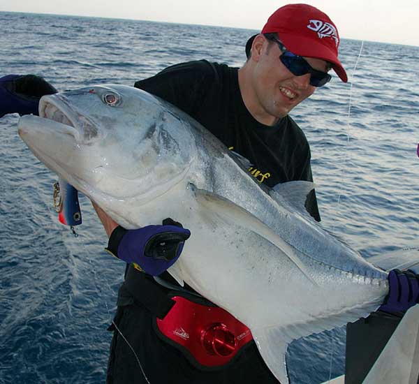 Spinnfischen mit Popper und Stickbait auf Giant Trevally, Thunfische, Snapper, Grouper und mehr.