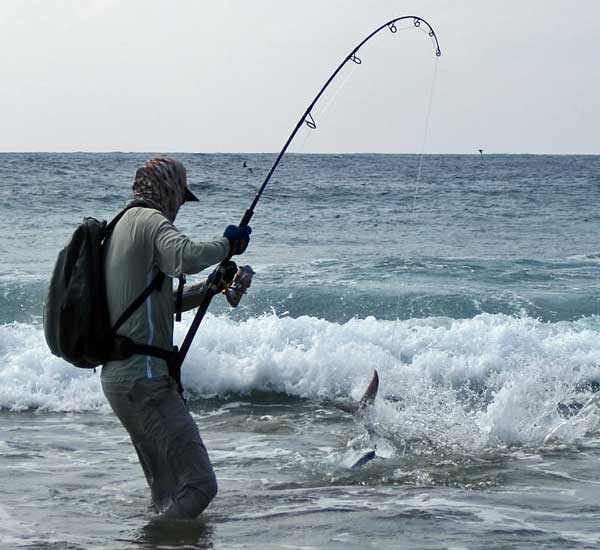 Spinnfischen mit Popper und Stickbait auf Giant Trevally, Thunfische, Snapper, Grouper und mehr.
