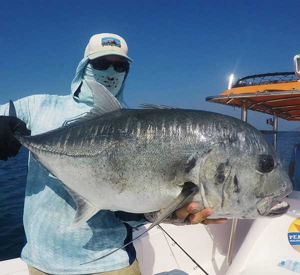 Spinnfischen mit Popper und Stickbait auf Giant Trevally, Thunfische, Snapper, Grouper und mehr.