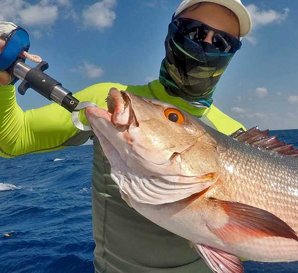 Spinnfischen mit Popper und Stickbait auf Giant Trevally, Thunfische, Snapper, Grouper und mehr.