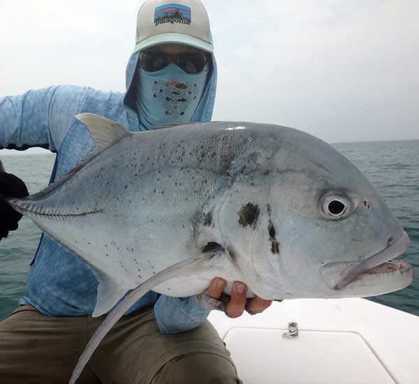 Spinnfischen mit Popper und Stickbait auf Giant Trevally, Thunfische, Snapper, Grouper und mehr.