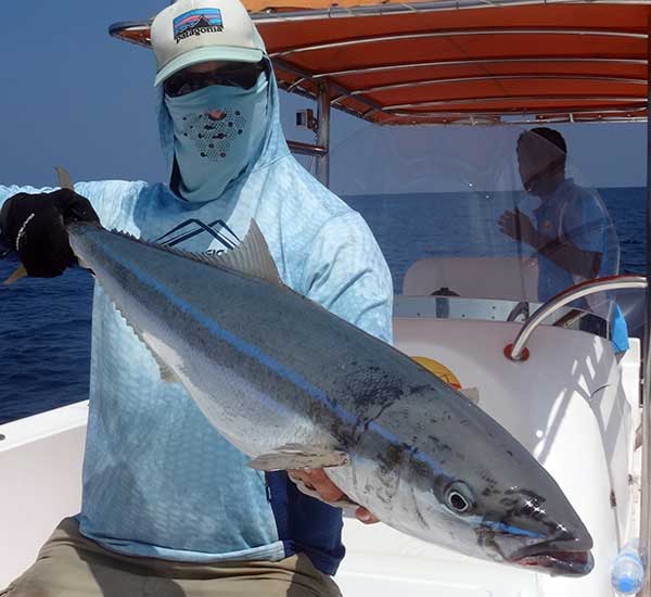Spinnfischen mit Popper und Stickbait auf Giant Trevally, Thunfische, Snapper, Grouper und mehr.