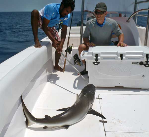 Spinnfischen mit Popper und Stickbait auf Giant Trevally, Thunfische, Snapper, Grouper und mehr.
