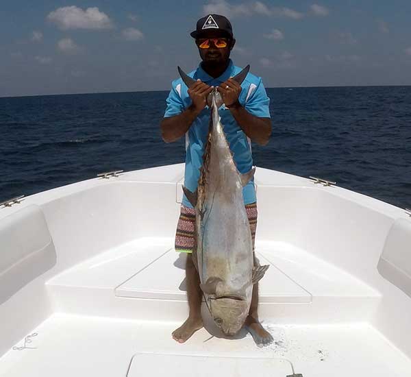 Spinnfischen mit Popper und Stickbait auf Giant Trevally, Thunfische, Snapper, Grouper und mehr.