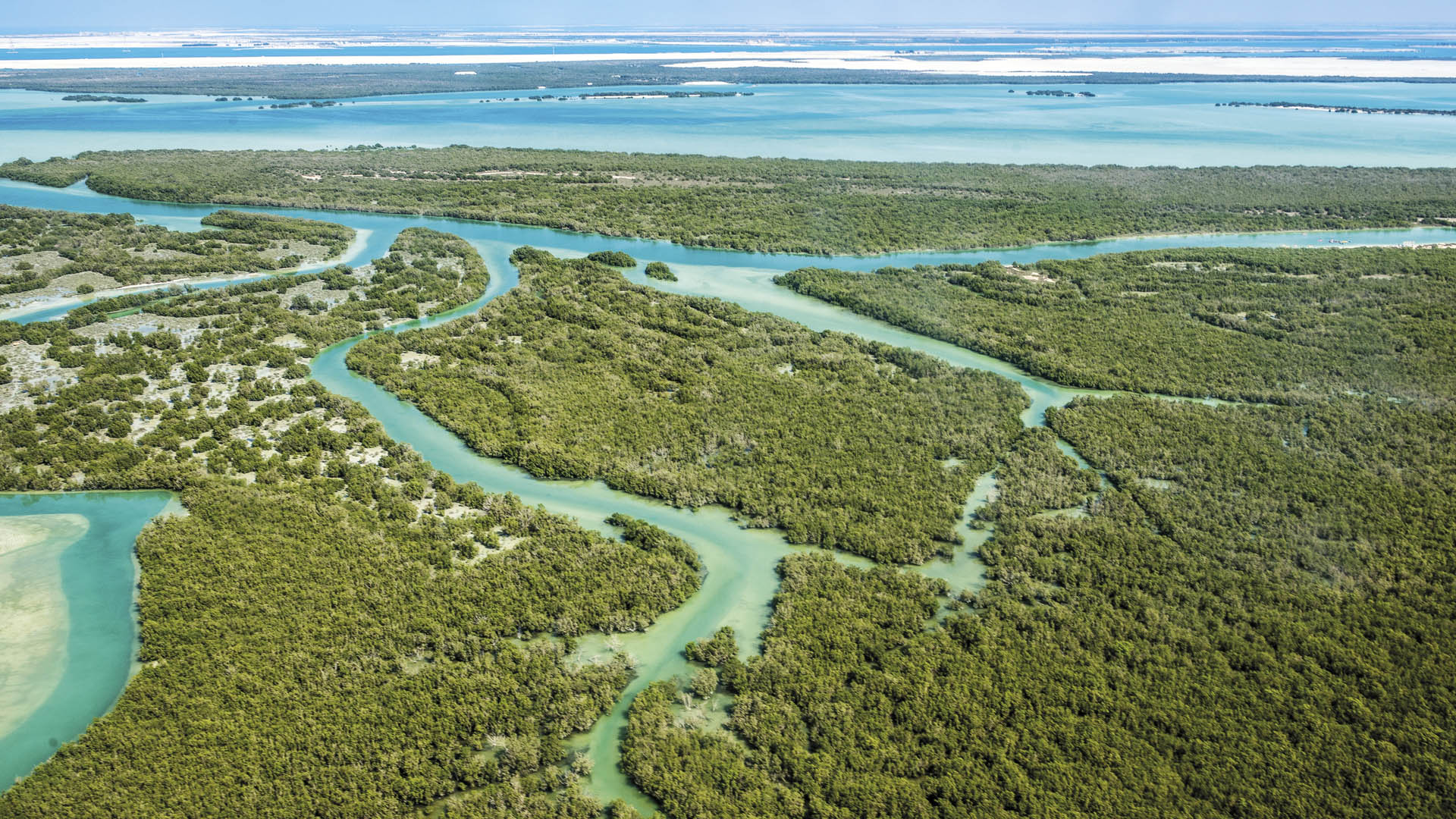 Neue Angelabenteuer beim Fliegenfischen im Salzwasser  