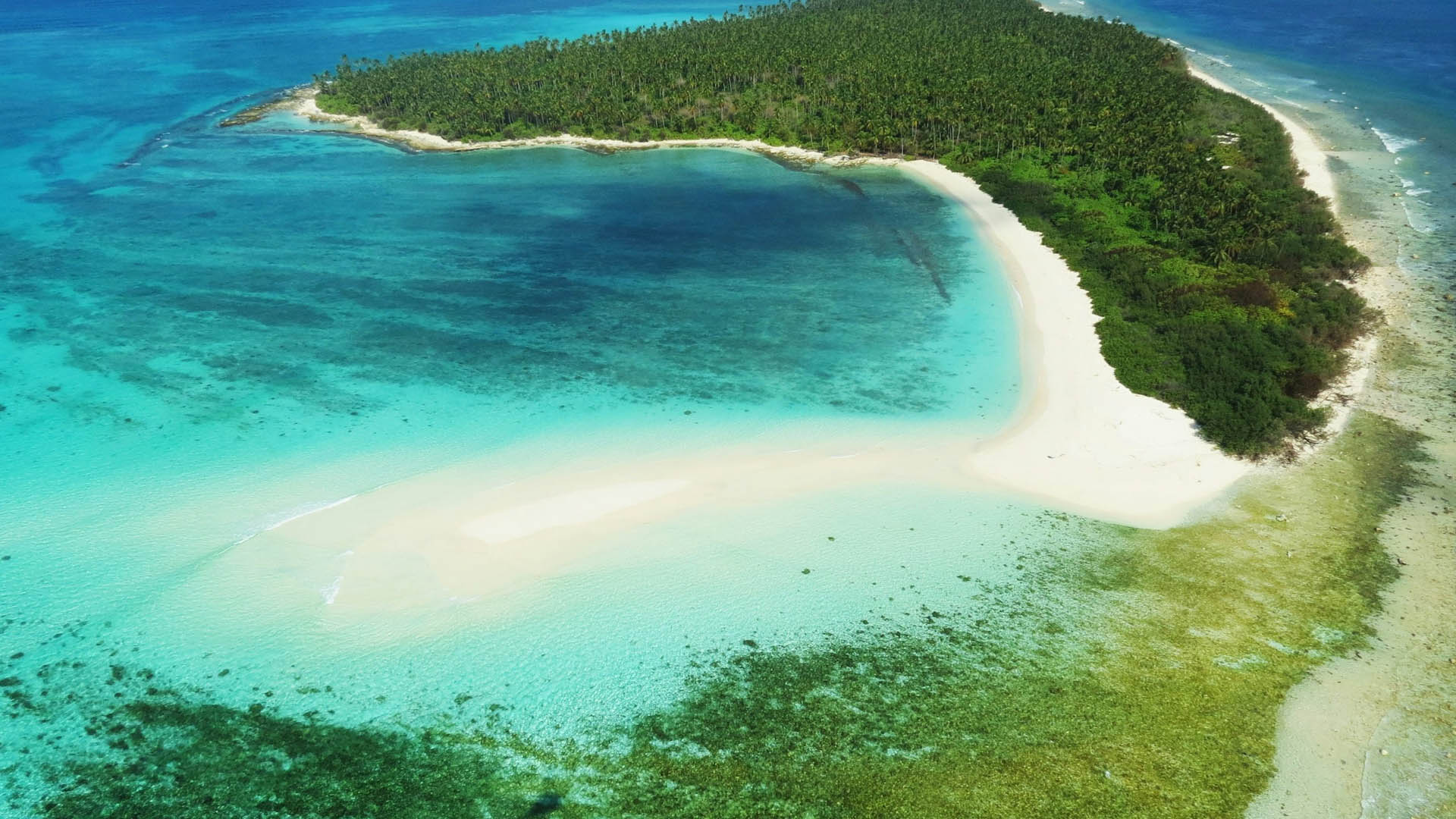 Neue Angelabenteuer beim Fliegenfischen im Salzwasser  