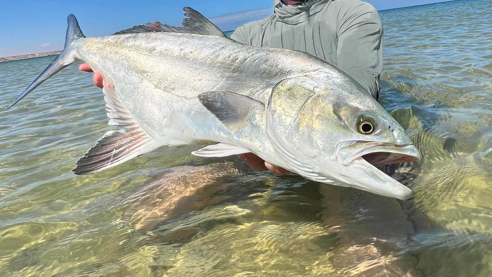 Fliegenfischen und Spinnfischen in Afrika 